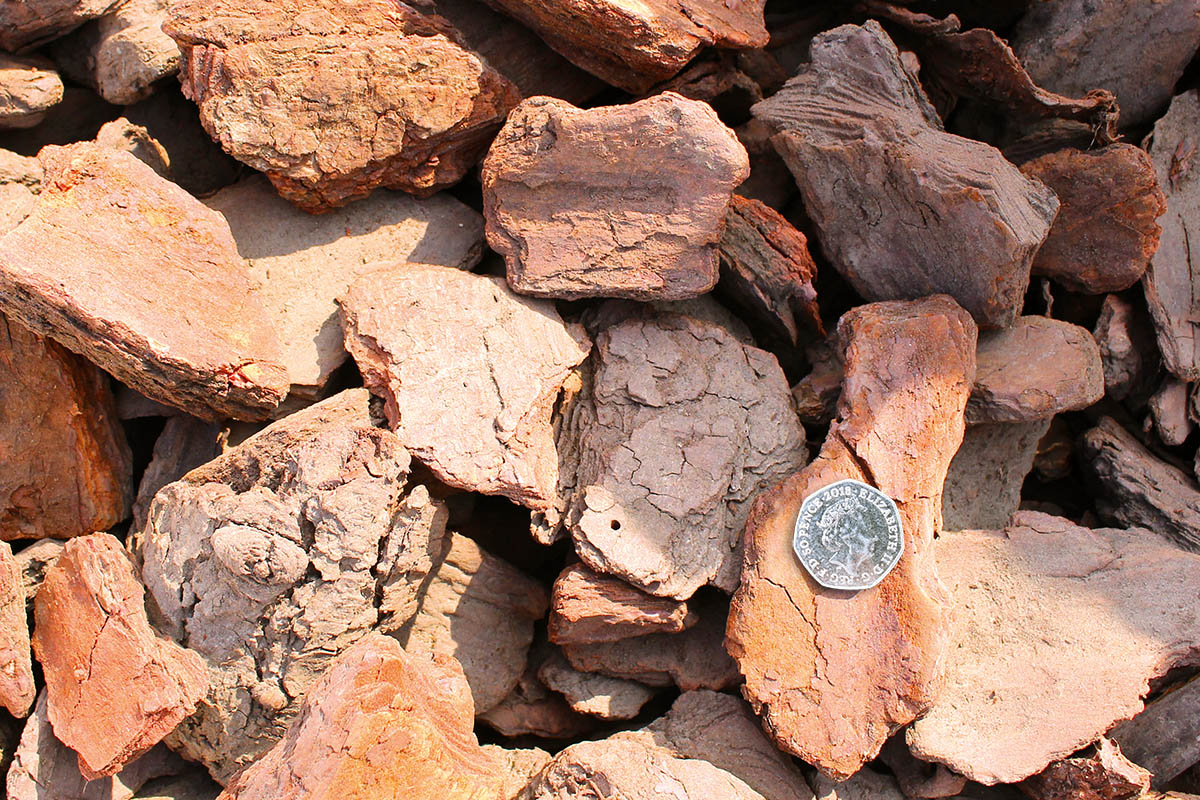 Premium Maritime Pine Bark 45mm+ Premium Topsoil Supplies